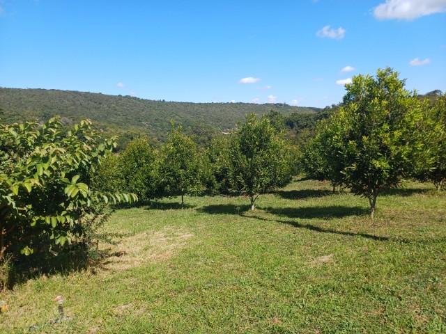 0 Bedroom Property for Sale in Louis Trichardt Limpopo