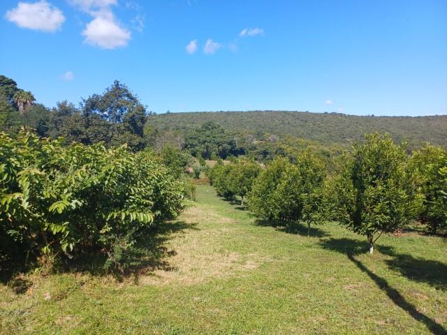 0 Bedroom Property for Sale in Louis Trichardt Limpopo