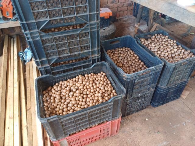 0 Bedroom Property for Sale in Louis Trichardt Limpopo