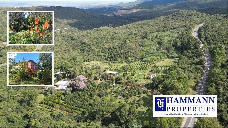 0 Bedroom Property for Sale in Louis Trichardt Limpopo