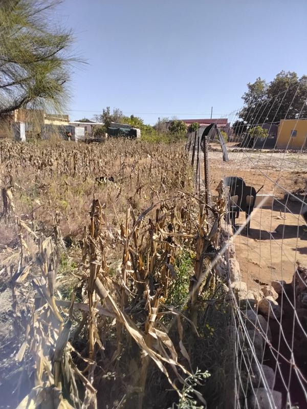 0 Bedroom Property for Sale in Mankweng Limpopo