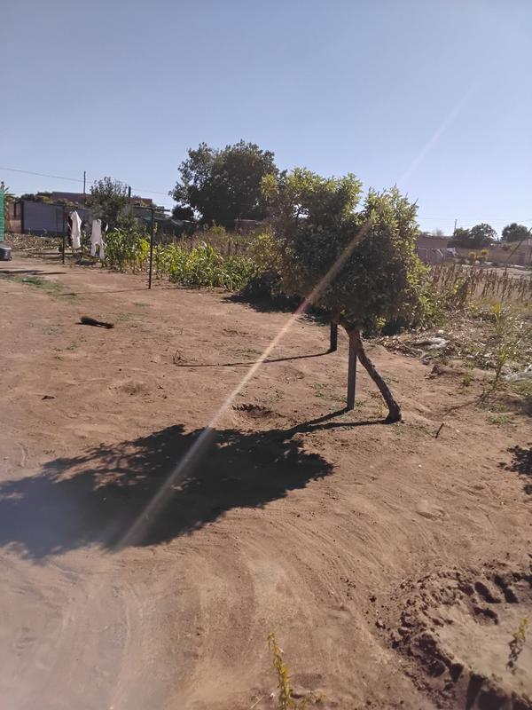 0 Bedroom Property for Sale in Mankweng Limpopo