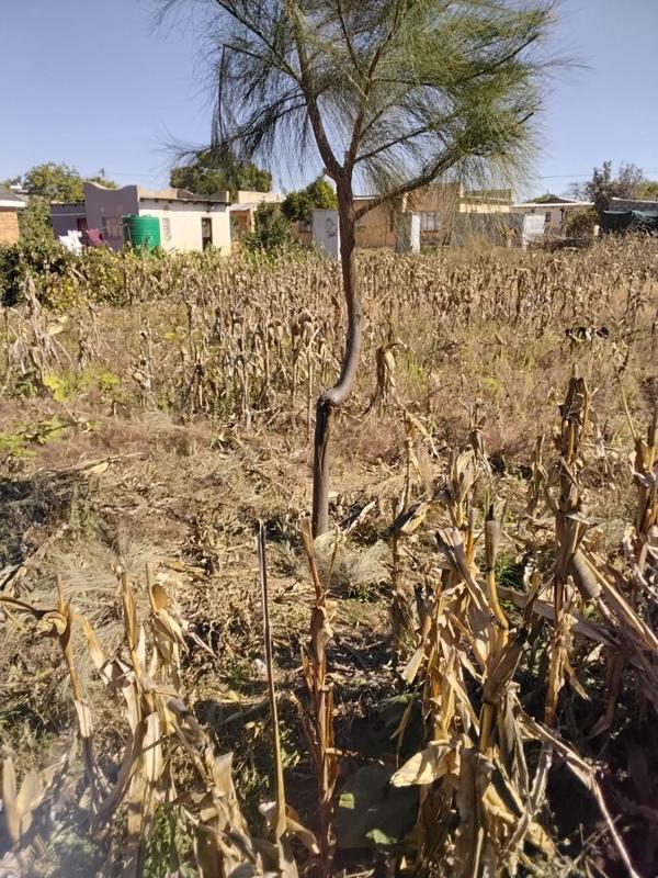 0 Bedroom Property for Sale in Mankweng Limpopo