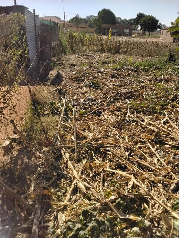 0 Bedroom Property for Sale in Mankweng Limpopo