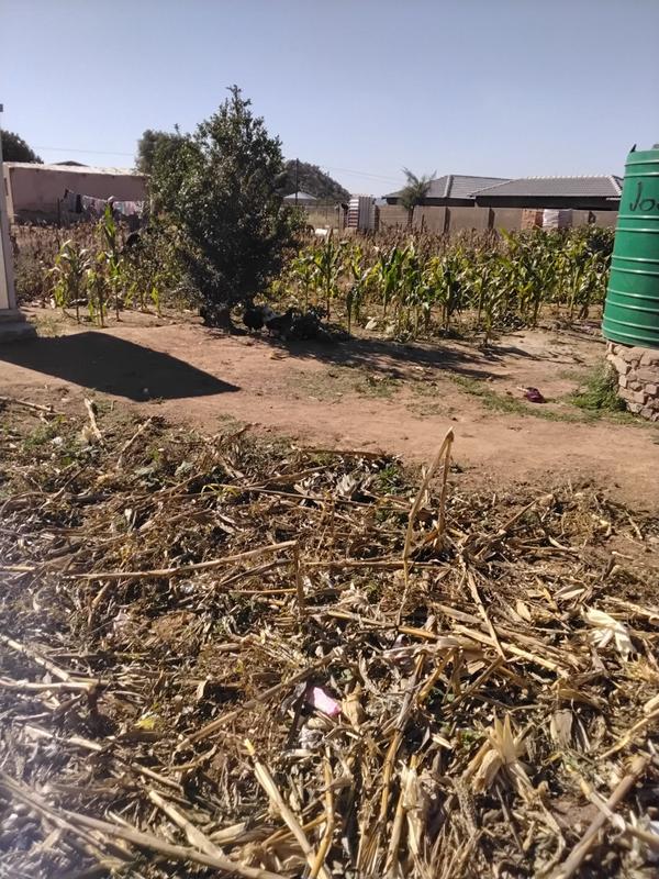 0 Bedroom Property for Sale in Mankweng Limpopo