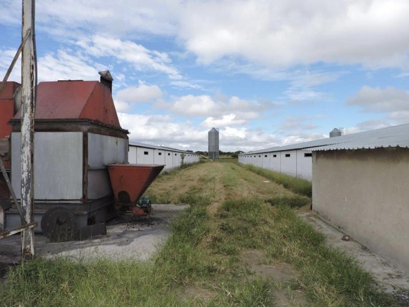 0 Bedroom Property for Sale in Polokwane Rural Limpopo