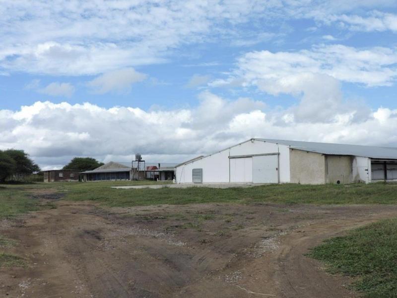 0 Bedroom Property for Sale in Polokwane Rural Limpopo