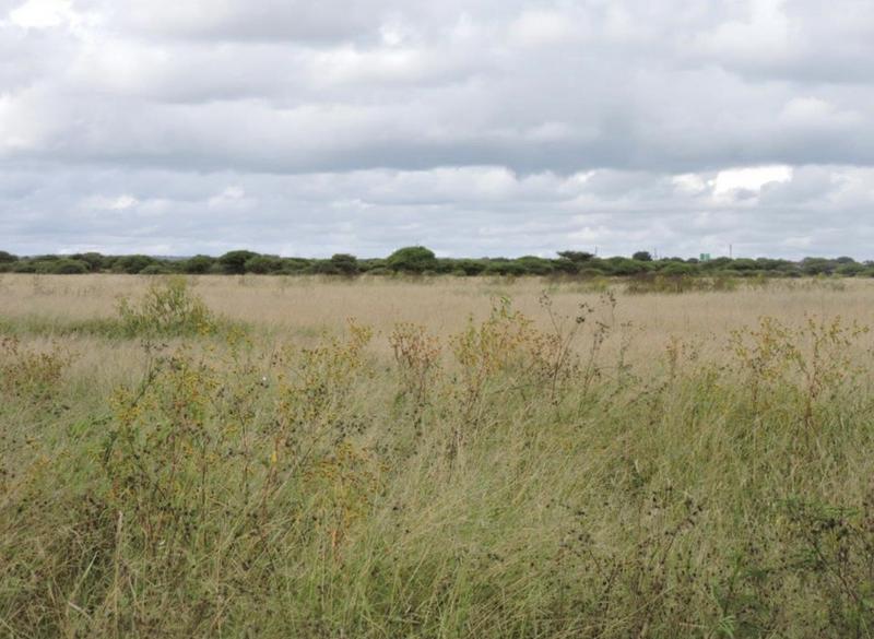 0 Bedroom Property for Sale in Polokwane Rural Limpopo