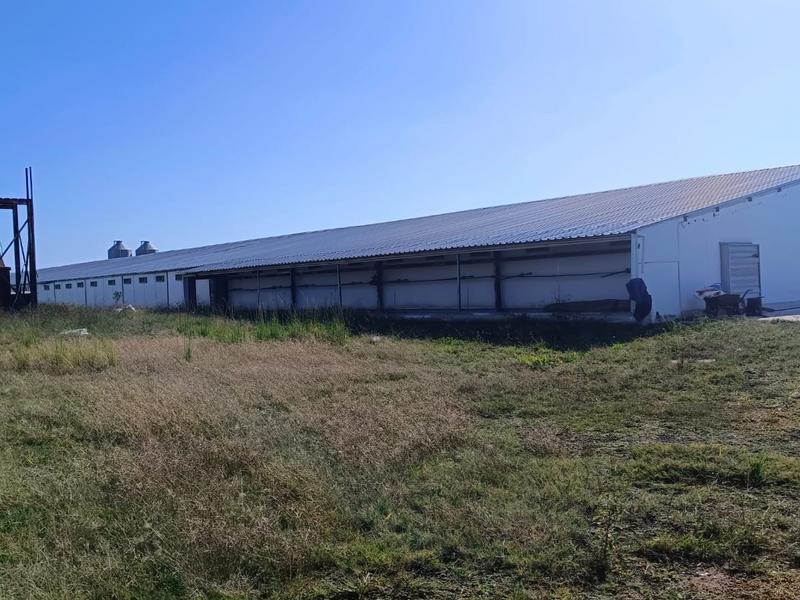 0 Bedroom Property for Sale in Polokwane Rural Limpopo