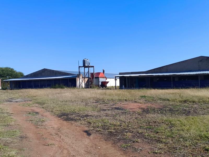 0 Bedroom Property for Sale in Polokwane Rural Limpopo