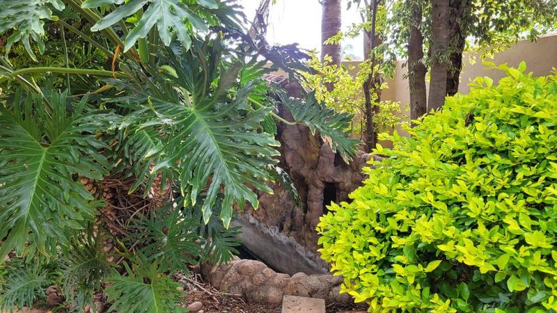 6 Bedroom Property for Sale in Bendor Limpopo