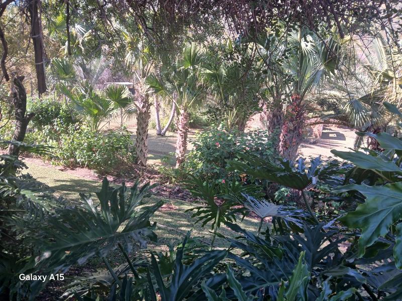 5 Bedroom Property for Sale in Mokopane Limpopo