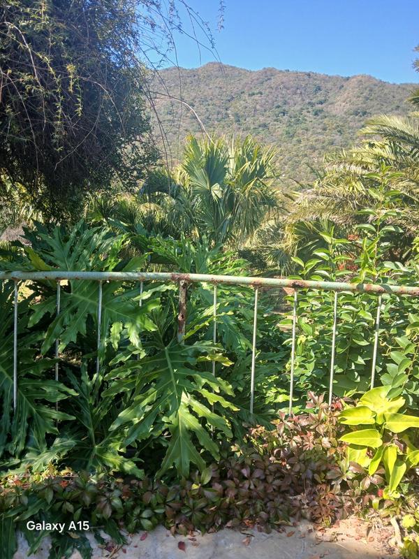5 Bedroom Property for Sale in Mokopane Limpopo