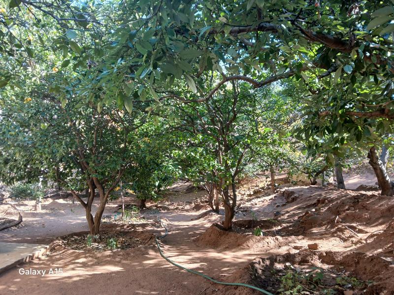 5 Bedroom Property for Sale in Mokopane Limpopo