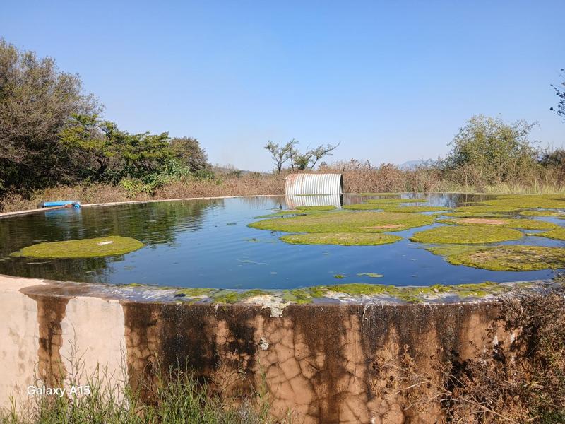 5 Bedroom Property for Sale in Mokopane Limpopo