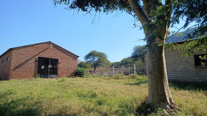 5 Bedroom Property for Sale in Mokopane Limpopo