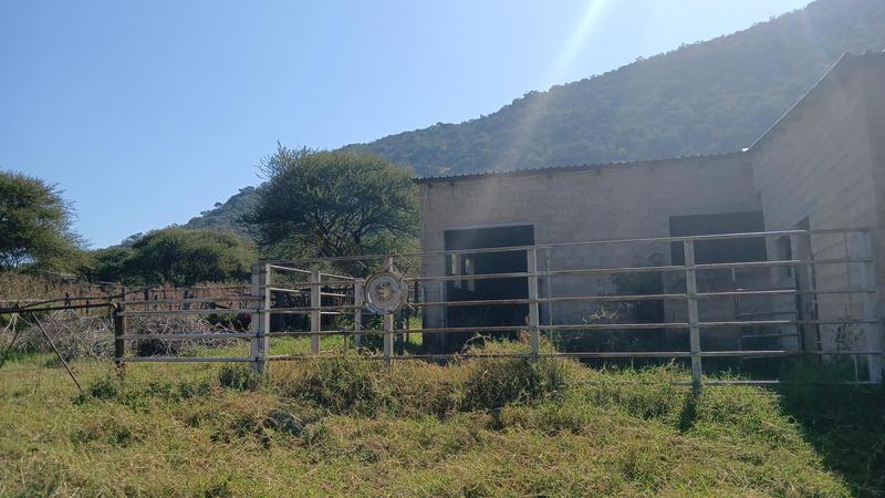 5 Bedroom Property for Sale in Mokopane Limpopo
