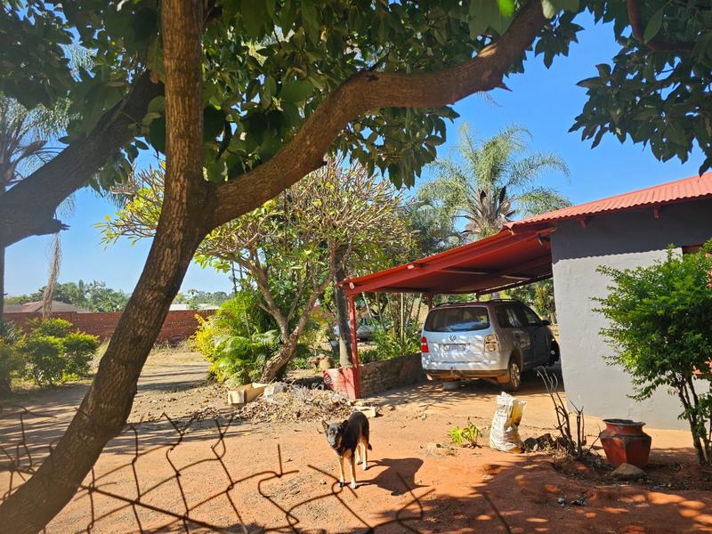 0 Bedroom Property for Sale in Louis Trichardt Limpopo