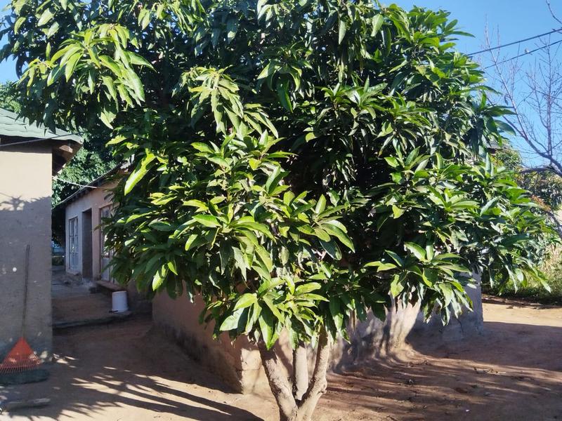 2 Bedroom Property for Sale in Mankweng Limpopo