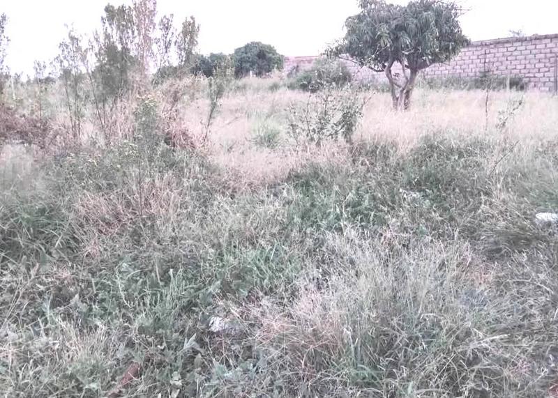 0 Bedroom Property for Sale in Mankweng Limpopo
