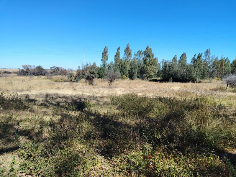 3 Bedroom Property for Sale in Modimolle Limpopo