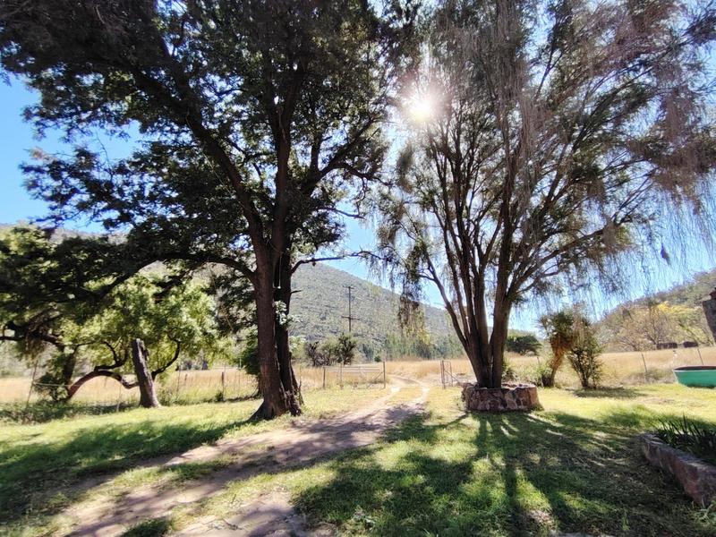 3 Bedroom Property for Sale in Modimolle Limpopo
