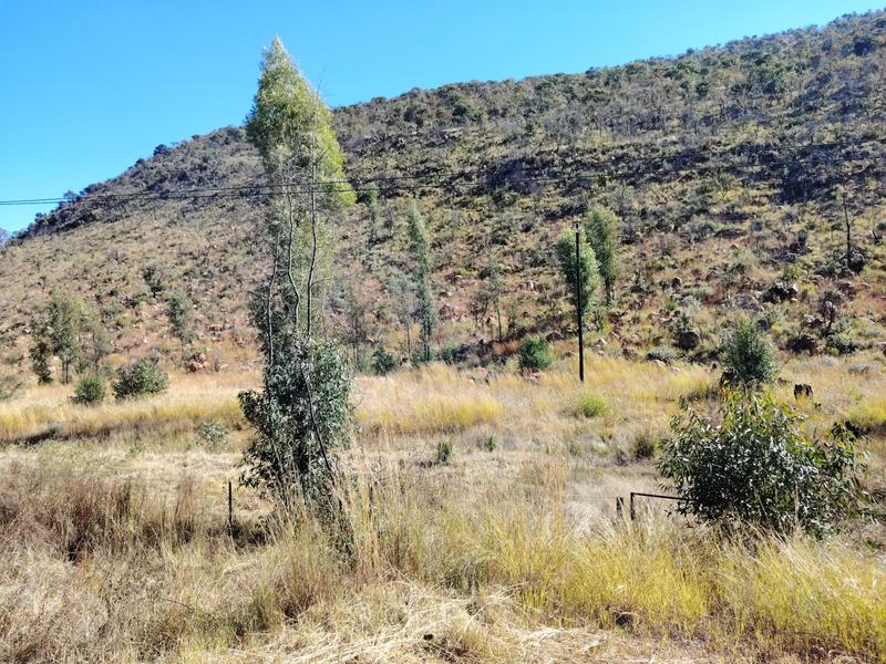 3 Bedroom Property for Sale in Modimolle Limpopo