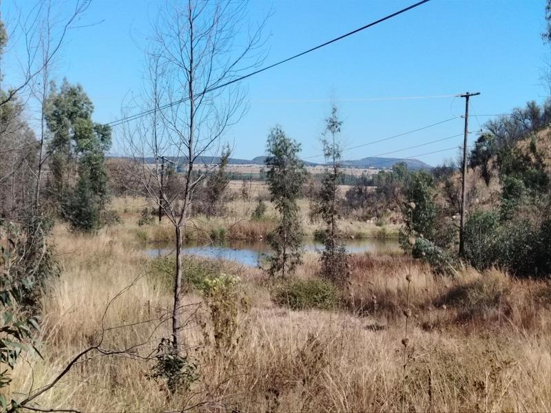 3 Bedroom Property for Sale in Modimolle Limpopo