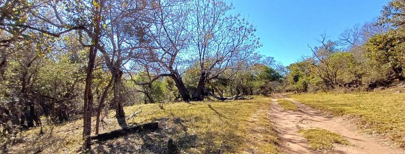 0 Bedroom Property for Sale in Lephalale Limpopo