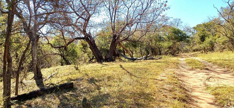 0 Bedroom Property for Sale in Lephalale Limpopo