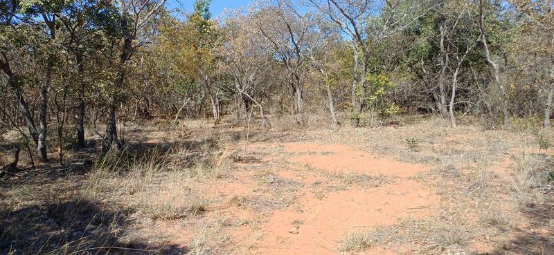 0 Bedroom Property for Sale in Lephalale Limpopo