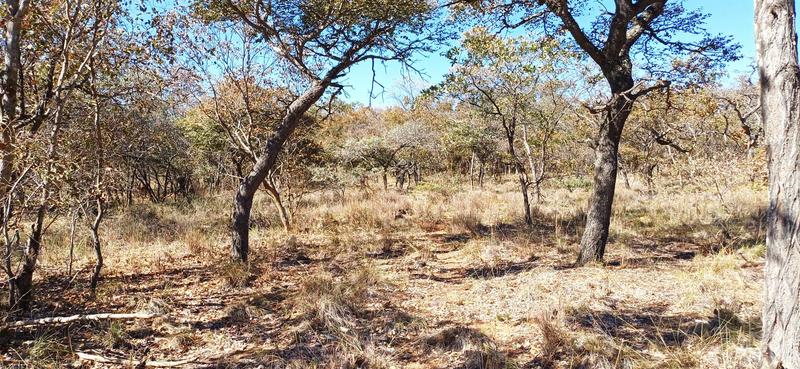 0 Bedroom Property for Sale in Lephalale Limpopo