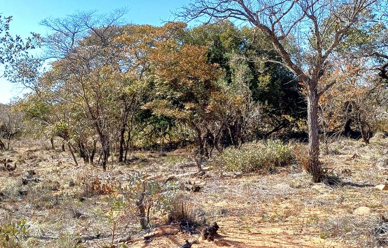 0 Bedroom Property for Sale in Lephalale Limpopo