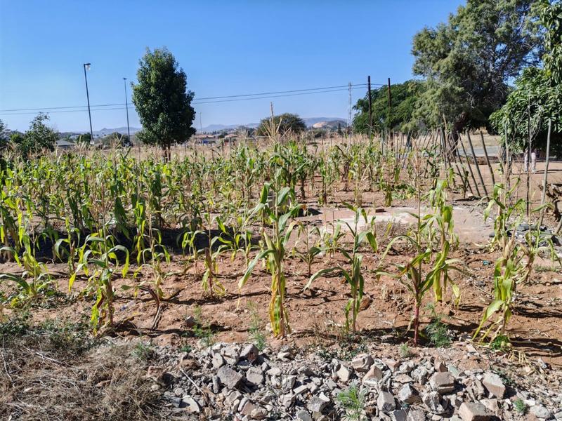 0 Bedroom Property for Sale in Mankweng Limpopo
