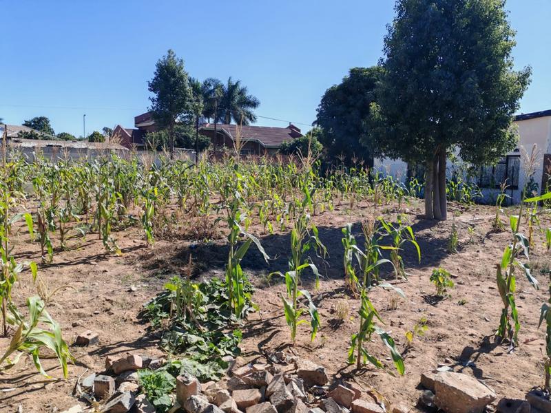 0 Bedroom Property for Sale in Mankweng Limpopo