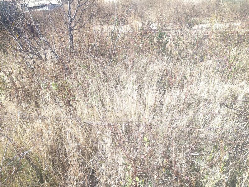 0 Bedroom Property for Sale in Mankweng Limpopo