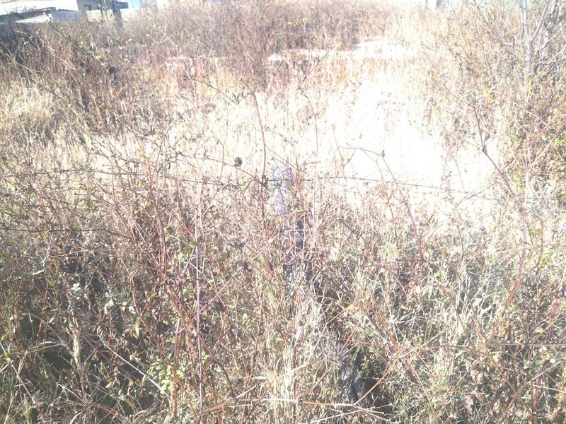 0 Bedroom Property for Sale in Mankweng Limpopo