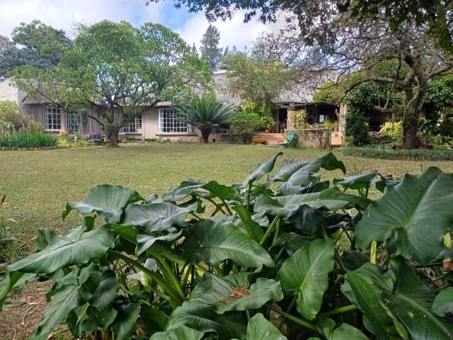 0 Bedroom Property for Sale in Louis Trichardt Limpopo