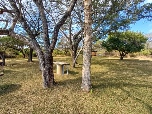 0 Bedroom Property for Sale in Louis Trichardt Limpopo