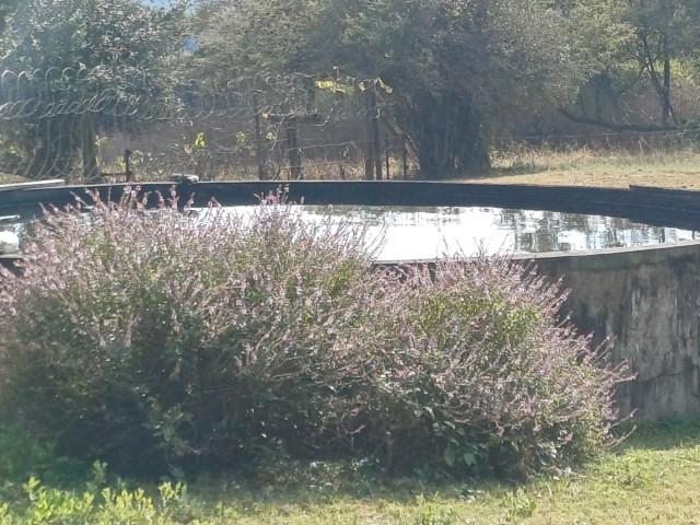 0 Bedroom Property for Sale in Louis Trichardt Limpopo