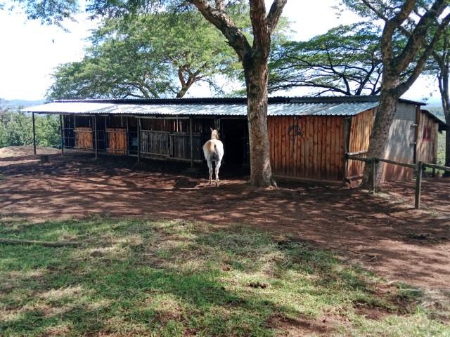 0 Bedroom Property for Sale in Levubu Limpopo