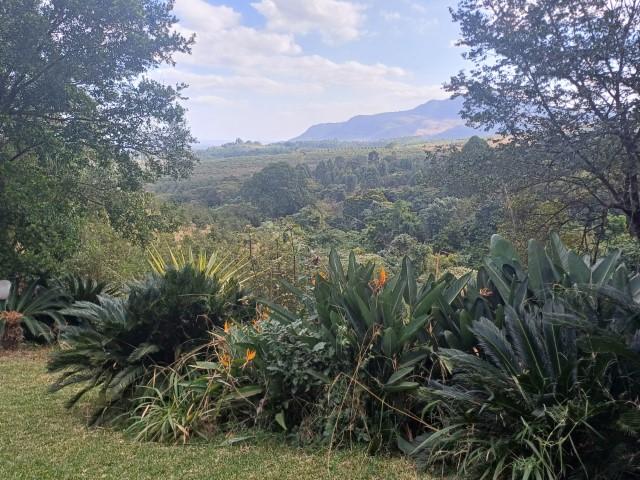 0 Bedroom Property for Sale in Levubu Limpopo