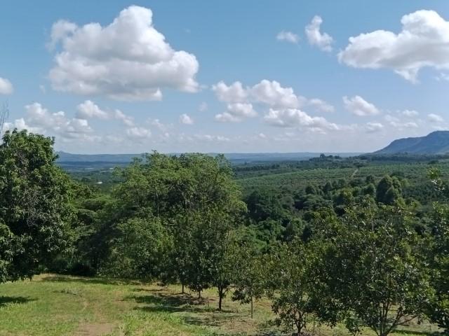 0 Bedroom Property for Sale in Levubu Limpopo