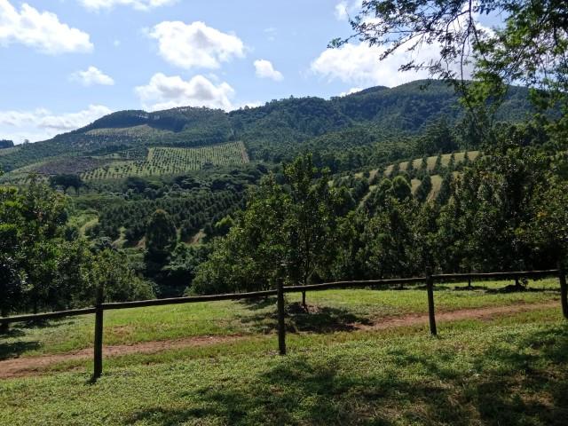 0 Bedroom Property for Sale in Levubu Limpopo
