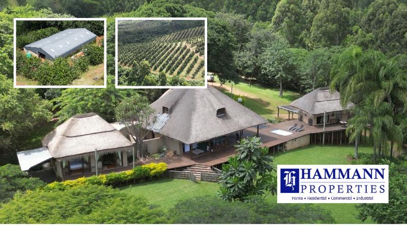 0 Bedroom Property for Sale in Levubu Limpopo