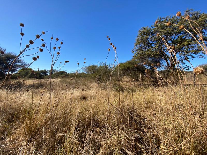 10 Bedroom Property for Sale in Ivydale A H Limpopo