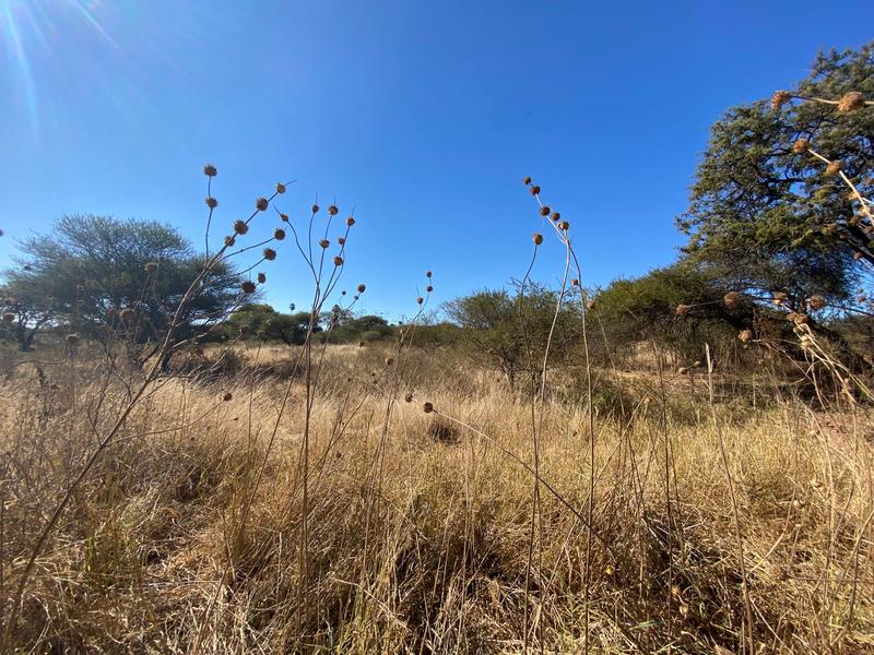 10 Bedroom Property for Sale in Ivydale A H Limpopo