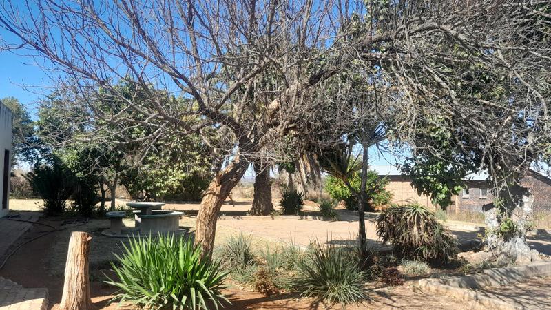To Let 3 Bedroom Property for Rent in Polokwane Limpopo