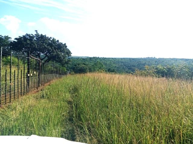 0 Bedroom Property for Sale in Louis Trichardt Limpopo