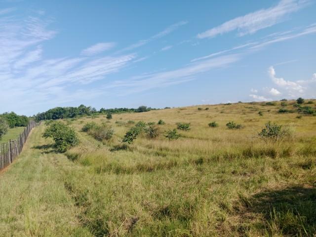 0 Bedroom Property for Sale in Louis Trichardt Limpopo